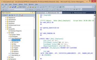 مثال على إنشاء استعلام (استعلام) في قاعدة بيانات MS SQL Server