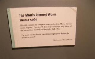 Crv Morris: što je to, kako se pojavio, pregledi povijesti zaraženih crva Morris